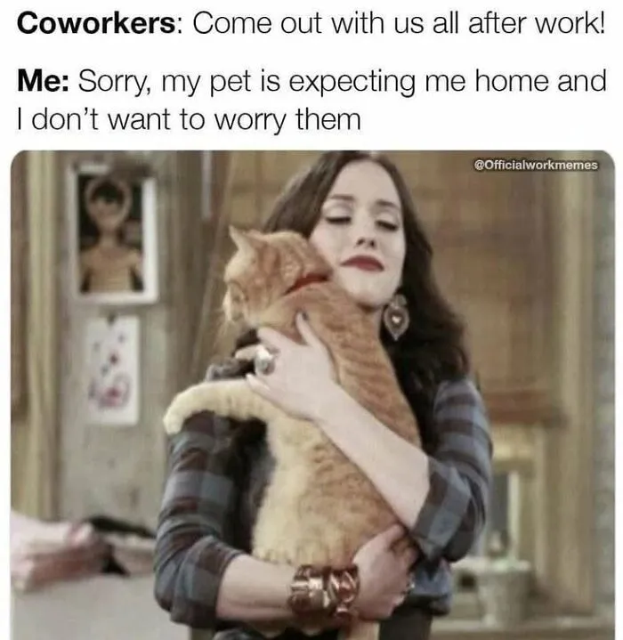 A woman happily hugging her ginger cat from the hilarious posts shared by Love Animal Memes.