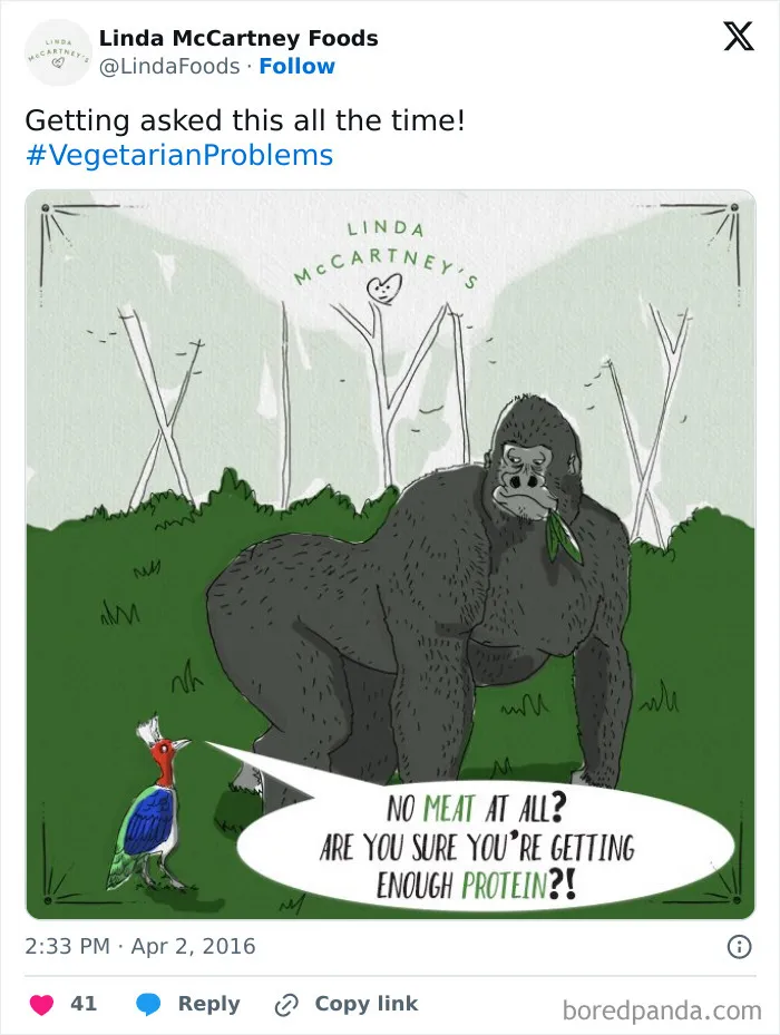 65 Funny Vegetarian Tweets For Those Who Are Tired Of Explaining Their Diet For The 100th Time