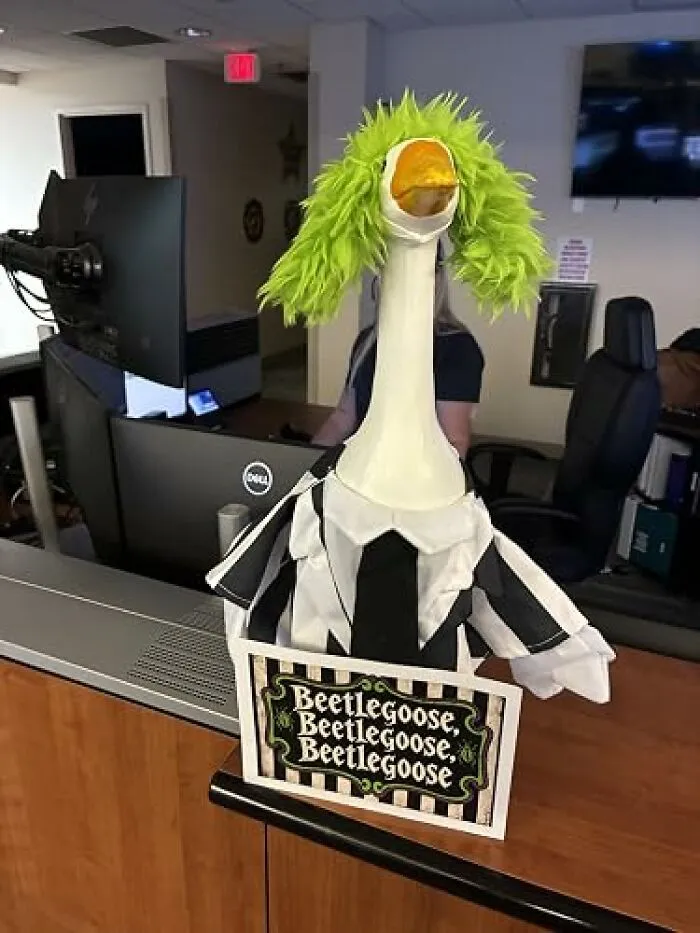 A lawn goose dressed in a striped suit and wig as a low-effort Halloween costume inspired by Beetlejuice.