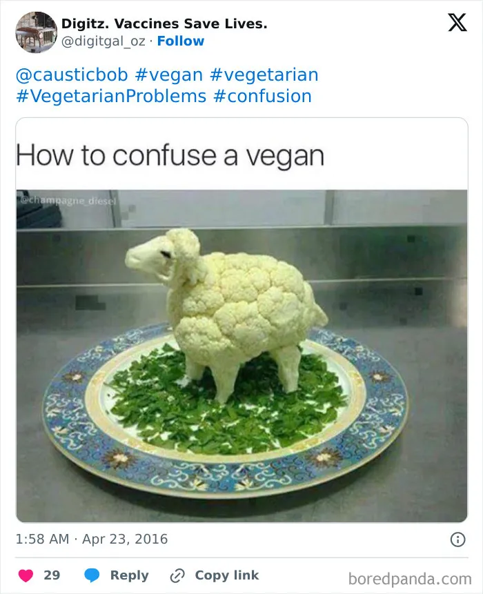 65 Funny Vegetarian Tweets For Those Who Are Tired Of Explaining Their Diet For The 100th Time