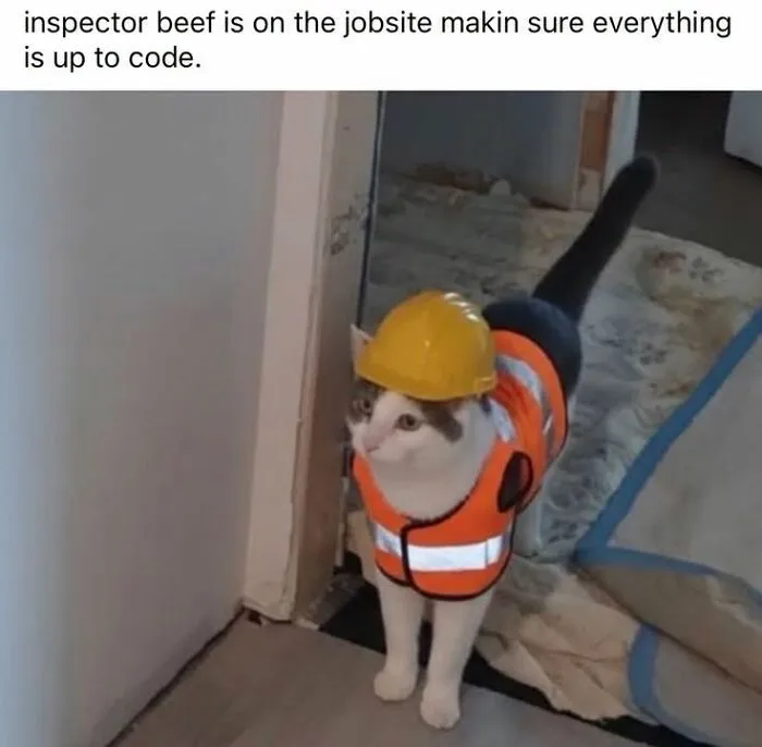 Cat in construction vest and hard hat on job site in humorous animal meme