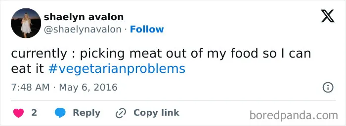 65 Funny Vegetarian Tweets For Those Who Are Tired Of Explaining Their Diet For The 100th Time