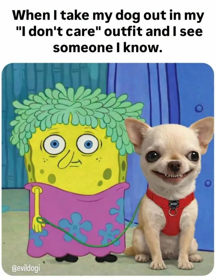 Chihuahua with funny grin held on leash by SpongeBob character in humorous animal meme
