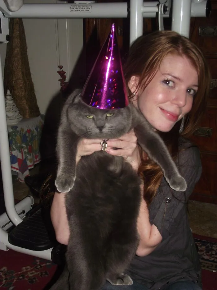 A woman holding her grumpy cat wearing a party hat, posing for family photos