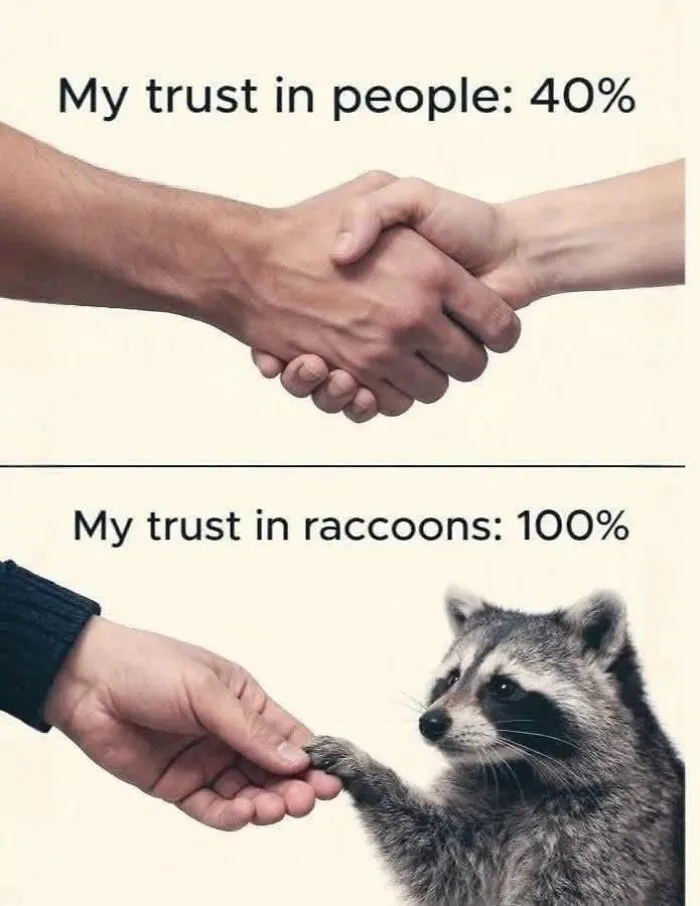 Comparison meme showing trust in people versus trust in raccoons from love animal memes