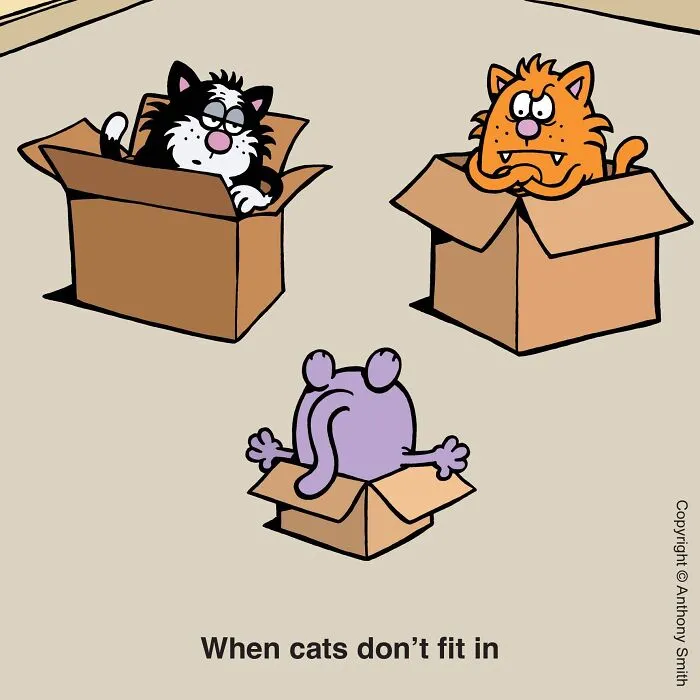 Funny cat comics cartoon with three cats trying to fit into small cardboard boxes.
