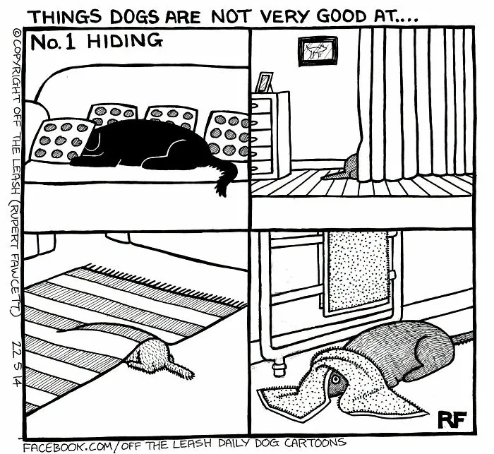 Off The Leash dog cartoon panel showing four funny attempts of a dog trying and failing to hide.