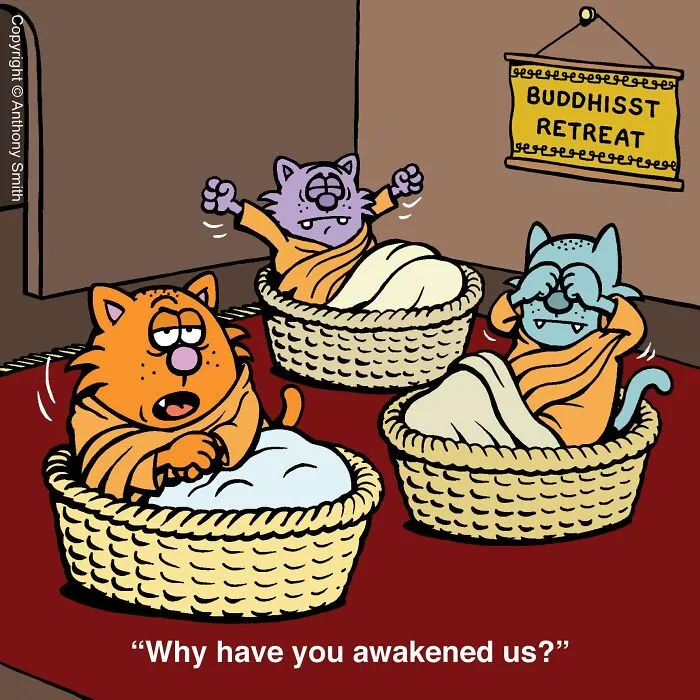 Funny cat comics panel showing three cat monks waking up in woven baskets.