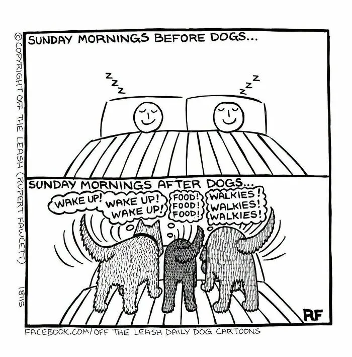 Funny Off The Leash dog cartoon showing life before and after pets on Sunday mornings.