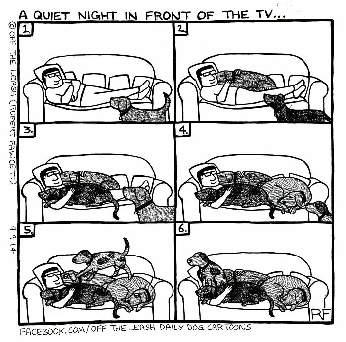 Funny Off The Leash dog cartoons panel showing multiple dogs crowding a owner lying on the sofa.