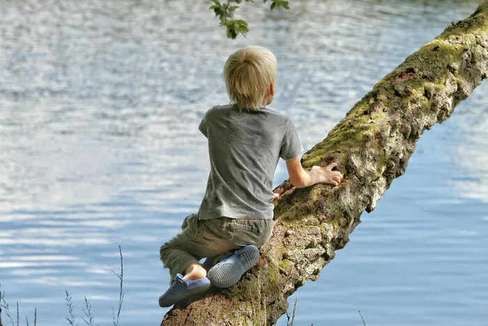 Boy sitting on tree branch overlooking water in nature