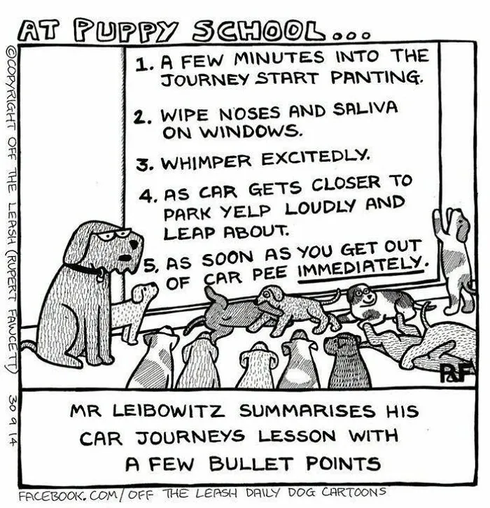 Funny Off The Leash dog cartoons displaying a dog teacher giving car journey instructions to puppies.