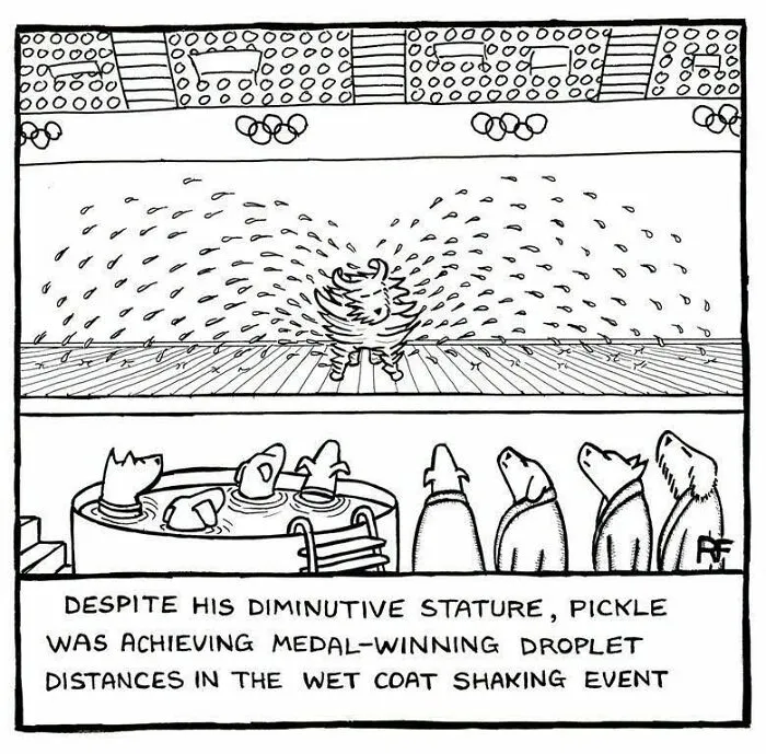 Funny dog cartoon by Rupert Fawcett showing a dog shaking off water at a swimming competition.