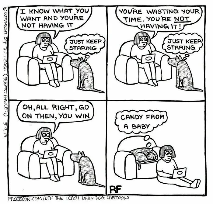 Off The Leash dog cartoon showing a dog staring down its owner until it gets the comfortable armchair