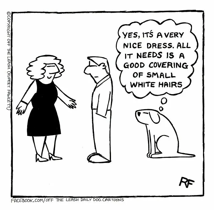 Funny Off The Leash dog cartoon showing a dog thinking about shedding hair on a woman's black dress