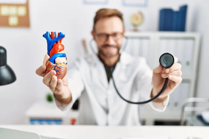 A male doctor holding an anatomical heart model and a stethoscope toward the camera