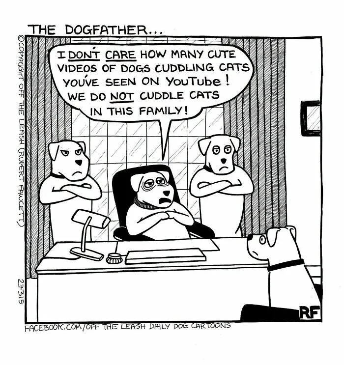 Funny Off The Leash dog cartoon by Rupert Fawcett featuring a dog sitting behind an office desk like a boss.