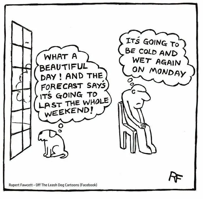 Off The Leash dog cartoon depicting a dog excited for sunny weather while its owner dreads Monday rain