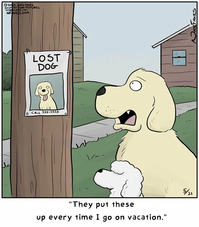 Dogs looking at lost dog posters that appear when one goes on vacation