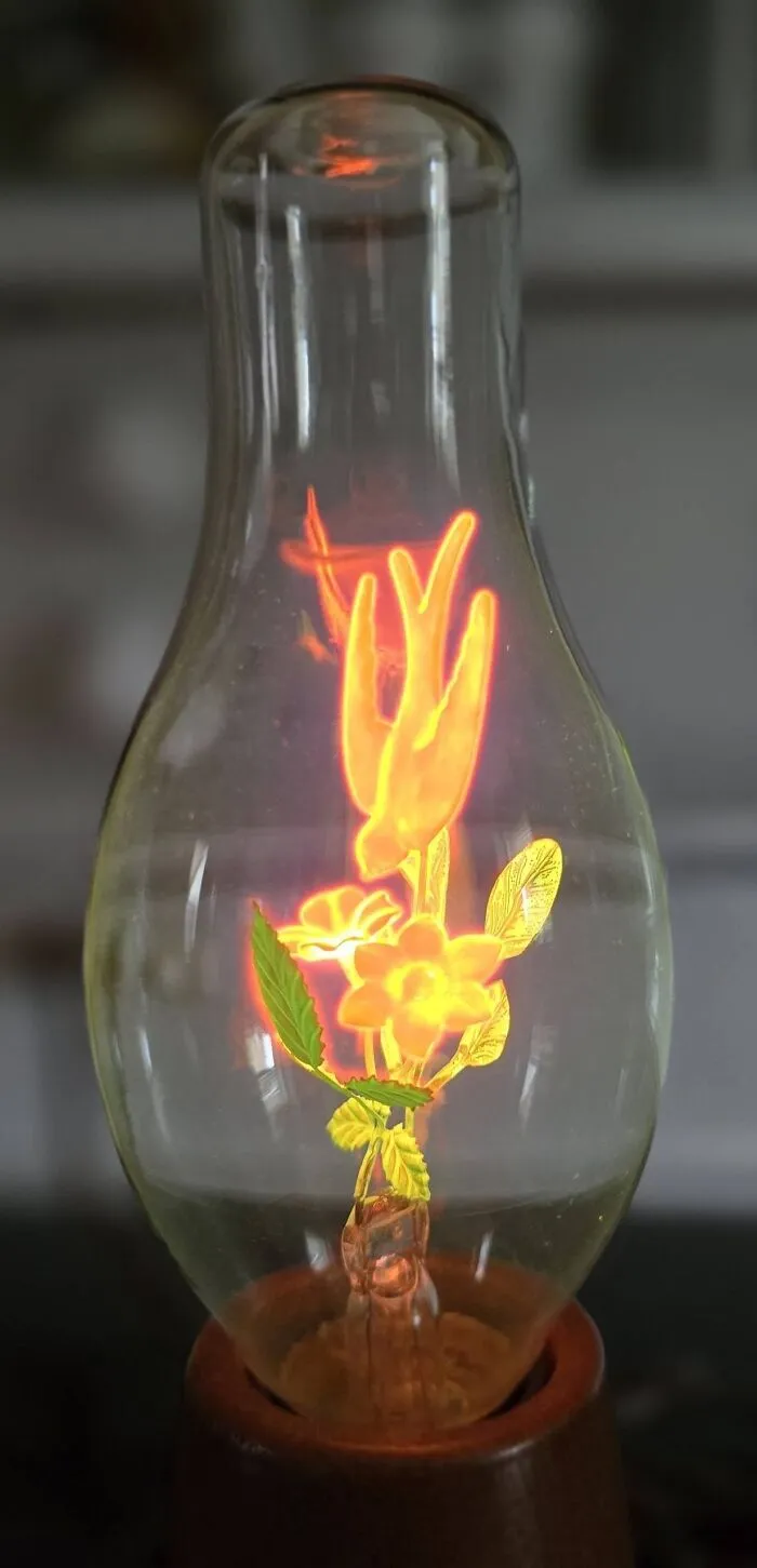 Glowing bird filament inside vintage light bulb, unique thrift find