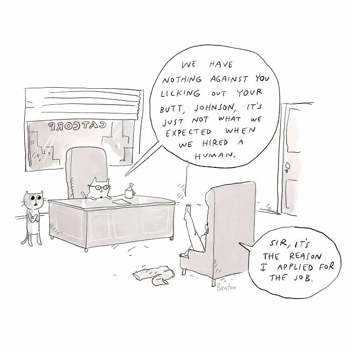 A humor cartoon by a cartoonist featuring a cat boss interviewing a human applicant sitting in an armchair.