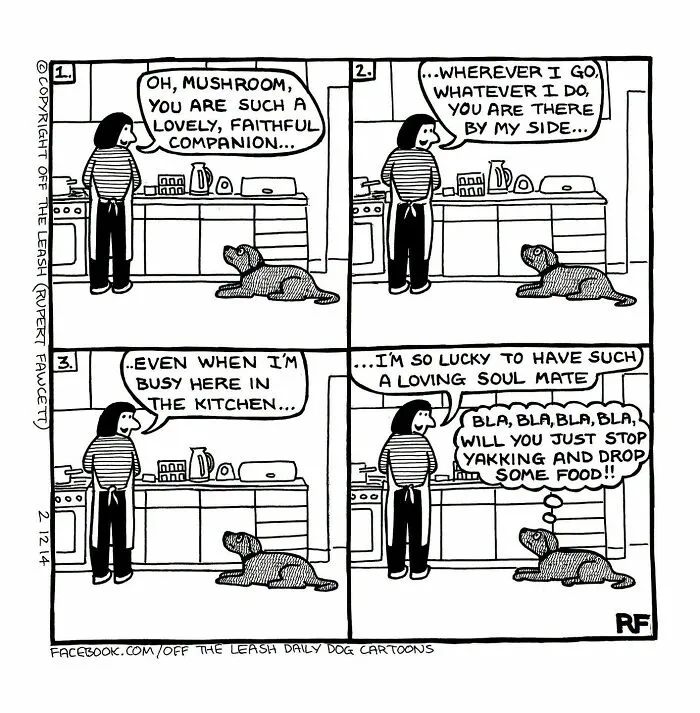 Funny Off The Leash dog cartoon by Rupert Fawcett showing a dog sitting by an owner cooking in the kitchen.