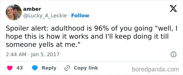 Adulthood is hoping things work until someone yells at you meme