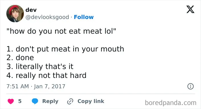 65 Funny Vegetarian Tweets For Those Who Are Tired Of Explaining Their Diet For The 100th Time