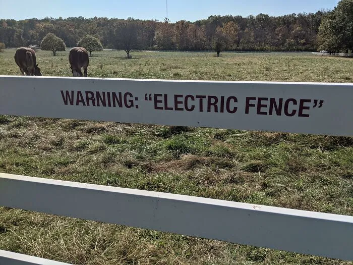 A farm fence warning sign misused quotation marks around ELECTRIC FENCE with horses nearby.