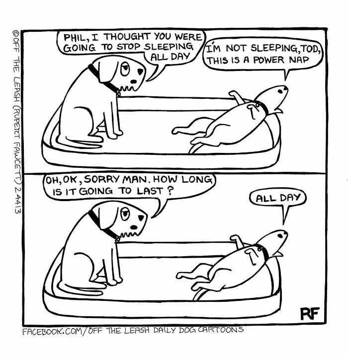 Funny Off The Leash dog cartoon featuring two dogs talking about a power nap in their bed.