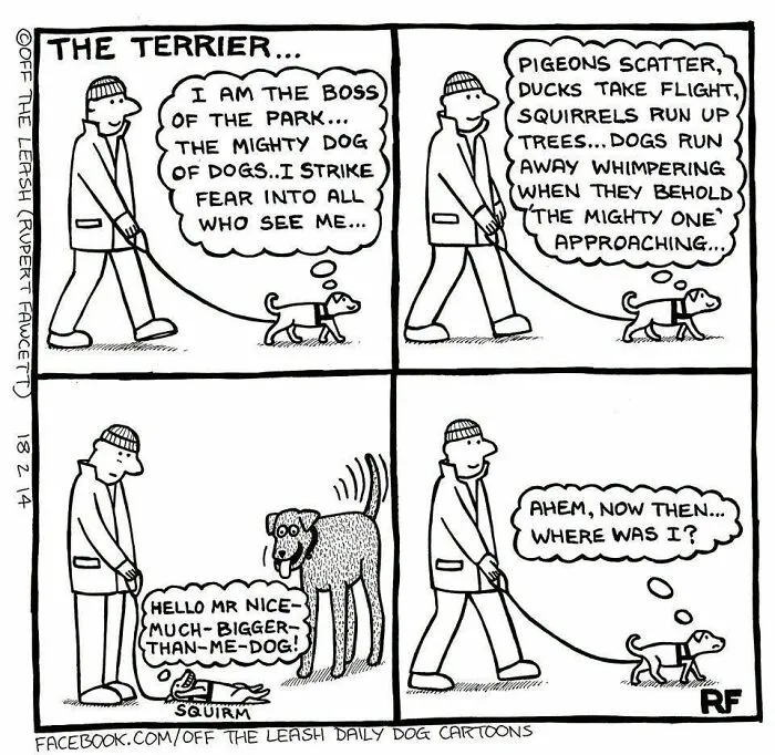 Funny dog cartoon showing a small terrier on a walk acting tough until meeting a bigger dog.