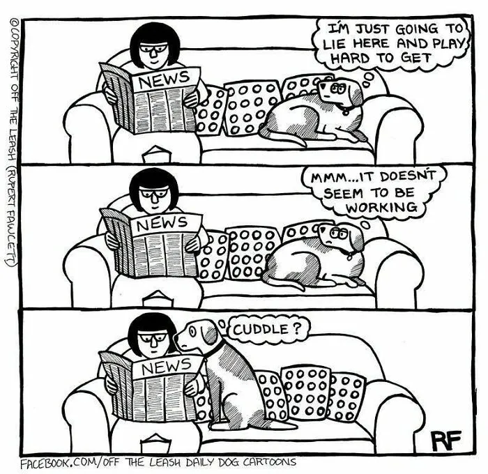 Funny Off the Leash dog cartoons showing a dog asking its owner for cuddles.