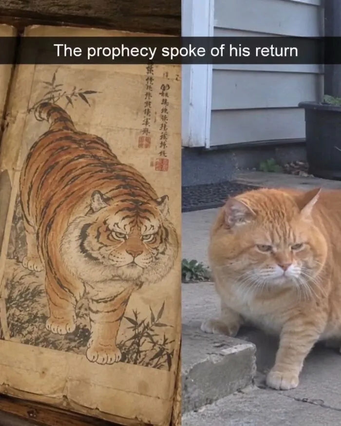 A side-by-side comparison meme of an ancient tiger drawing and a chubby orange cat