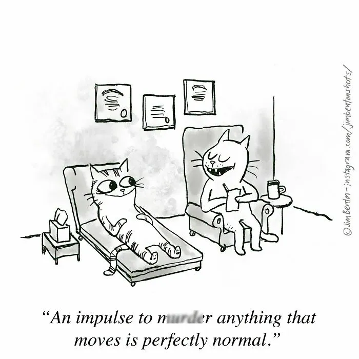 A funny new comic by a cartoonist depicting a cat on a therapy couch talking to a cat therapist.
