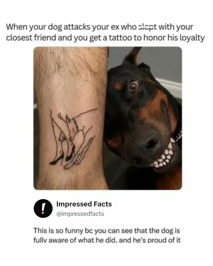 A funny post showing a dog smiling next to a tattoo of itself, representing funny memes and interesting posts.