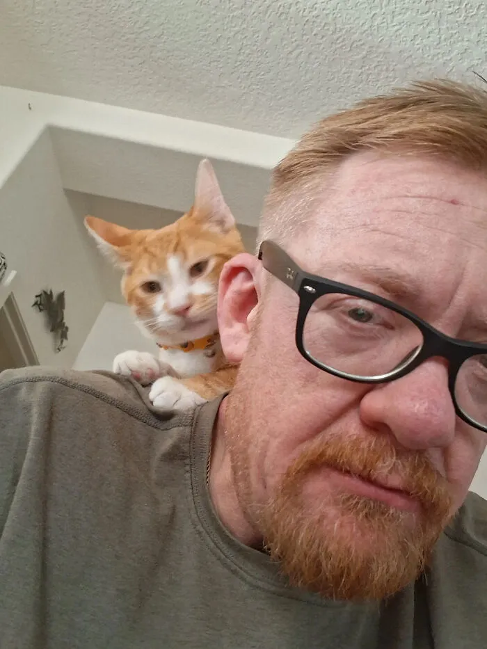 A man with a ginger beard and his orange cat show how pets looked so much like their owners with similar expressions
