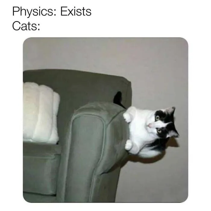 Humorous cat memes with a black and white cat defying physics by clinging sideways to a couch