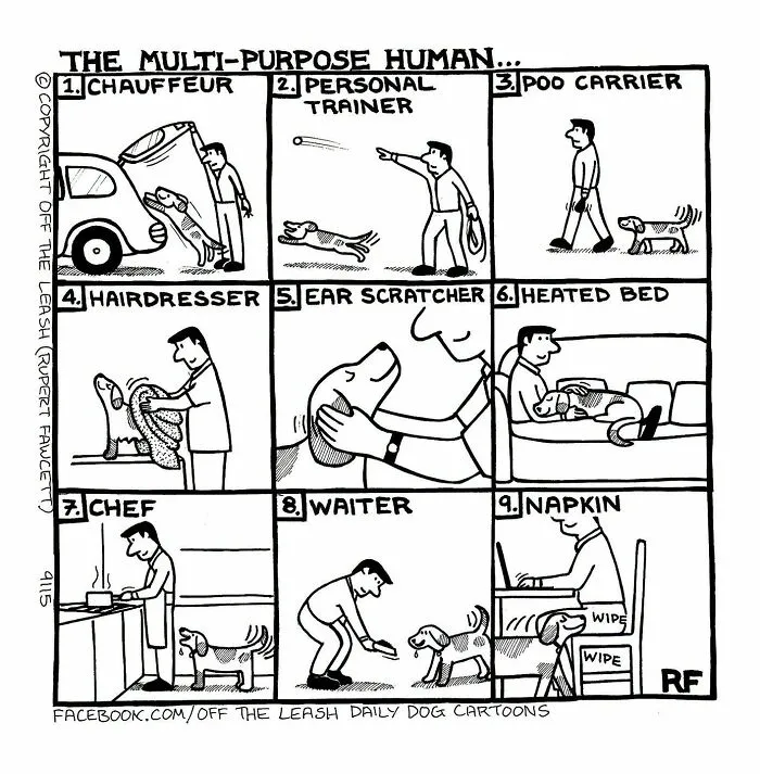 Dog cartoons by Rupert Fawcett depicting the multi-purpose roles of human owners.