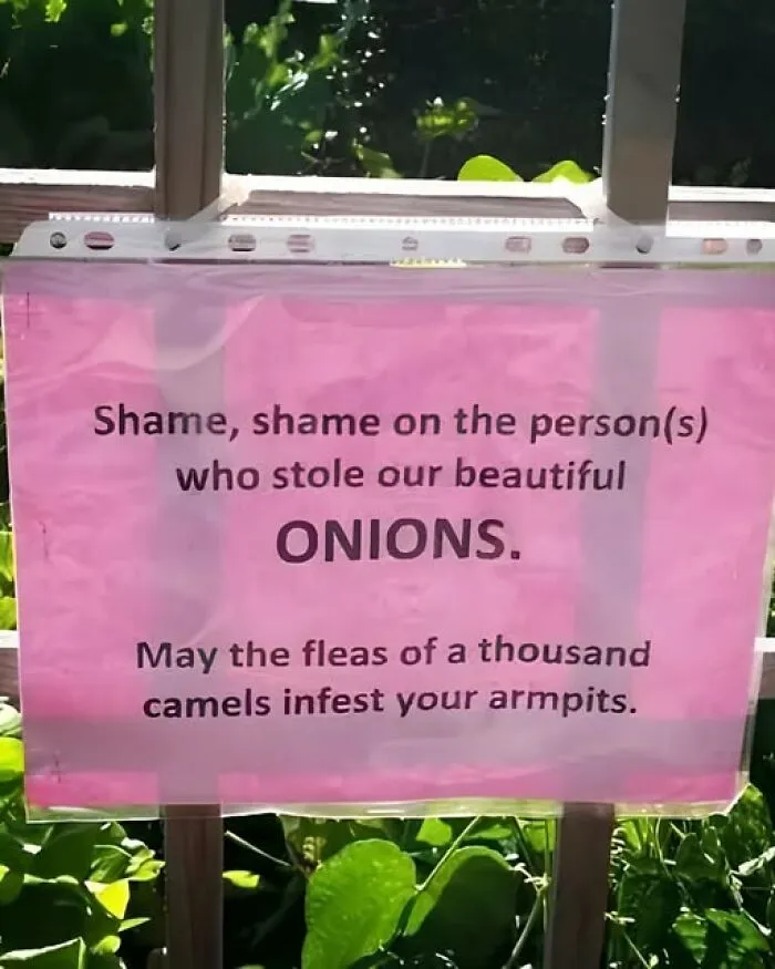 Funny sign about stolen onions posted outdoors, one of many odd photos found online.