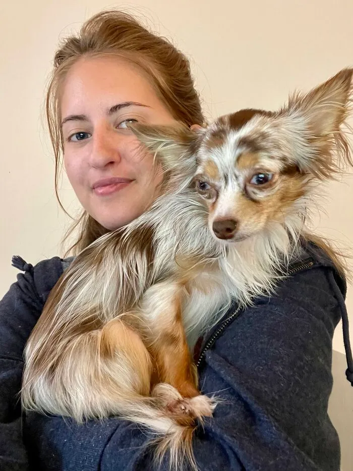 A young woman holding a long-haired chihuahua, highlighting how pets looked like their owners