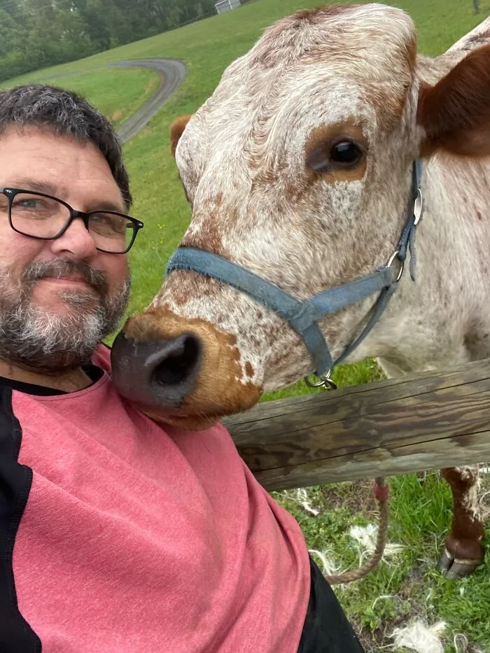 A man with glasses and a beard posing with a brown and white cow that looks like its owner.