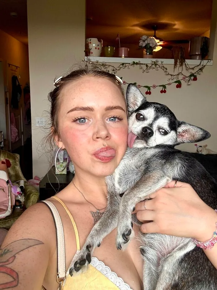A young woman and her small chihuahua sticking their tongues out, a fun example of pets look like owners