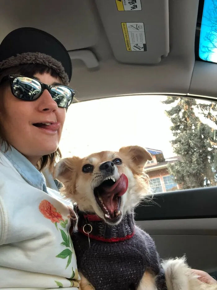 A woman and her funny dog that looks like its owner yawning together in a car