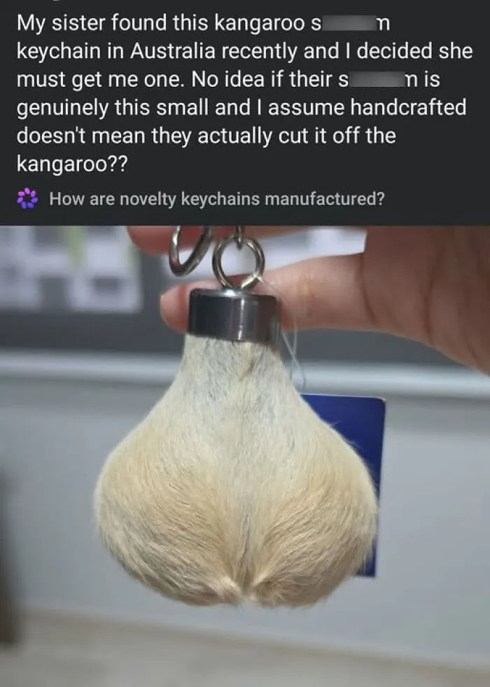 A novelty kangaroo scrotum keychain from Australia, one of those hilarious crafts that spark questions.