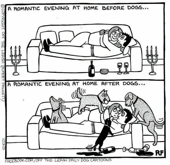Funny dog cartoons showing romantic evenings before and after owning pets.