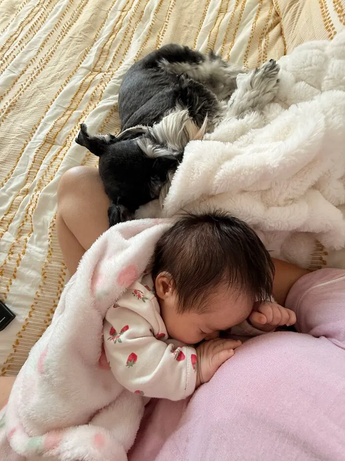 A small black dog and a baby sleeping peacefully on a bed under soft blankets.