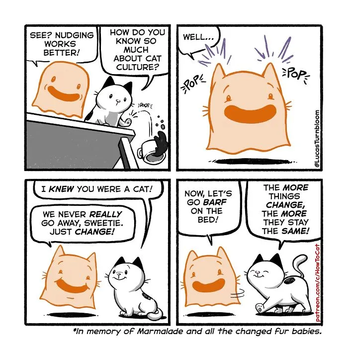 Four-panel comic about relatable cat behaviors featuring a ghost cat chatting with a live cat, by Lucas Turnbloom.