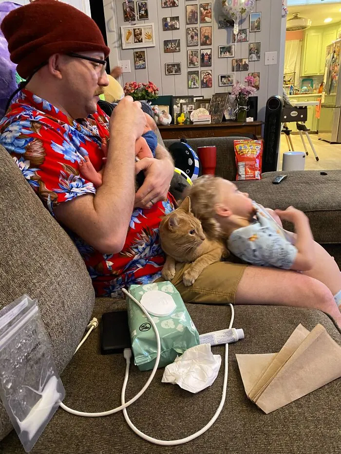 An orange cat sitting on a lap with a toddler, among photos of pets looking after babies