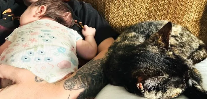 A tortoiseshell cat sleeping closely next to a resting newborn baby