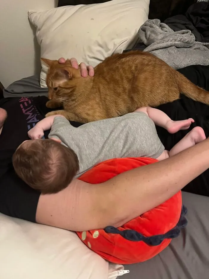 An orange tabby cat lying peacefully on a bed right beside a sleeping baby